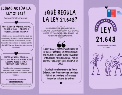 Banner PMG Género 2025